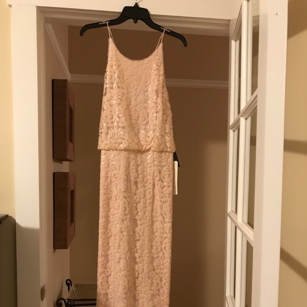 Adrianna Papell Seaquin Blouson Dress BLUSH